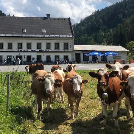 Отель Gasthof Zum Maurer Мариацелль Экстерьер фото